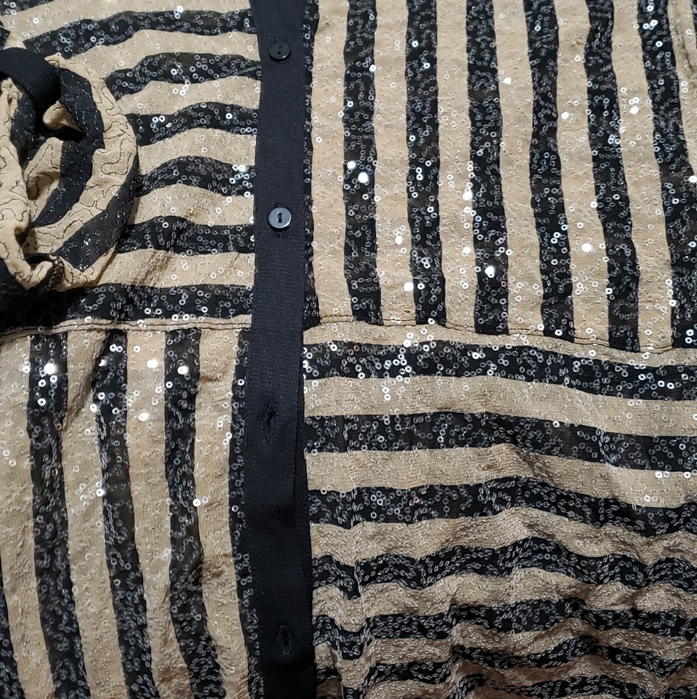 Lynn Ritchie Silver Sequin Blouse